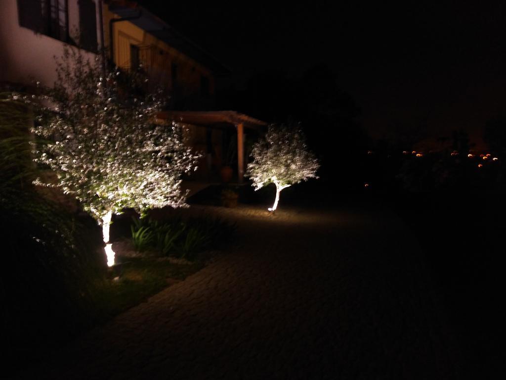Quinta Do Senhor Villa บรากา ภายนอก รูปภาพ